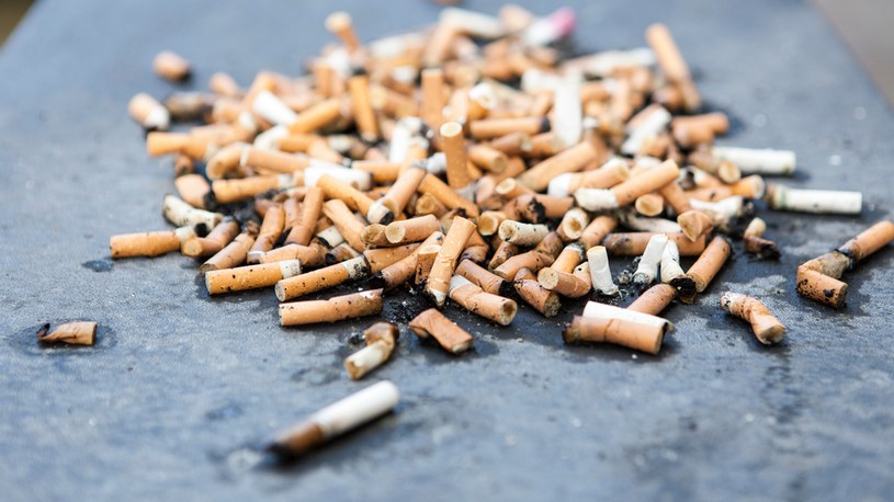 Hiszpania wprowadza nowe przepisy, które mają obciążyć producentów papierosów kosztami sprzątania niedopałków wyrzucanych przez palaczy w nielegalnych miejscach /Christian Ender /Getty Images