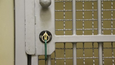 Hiszpania: Znęcał się nad stadem osłów i koni. Spędzi 5,5 roku w więzieniu