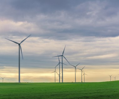 Hiszpański gigant zbuduje w Polsce farmę wiatrową