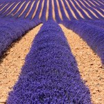 Hiszpańskie miasteczko apeluje do turystów. Nie przyjeżdżajcie w weekendy