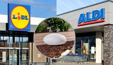 Hit do ogrodu i na taras już w Lidlu i Aldi! Klienci ruszą po te lampy