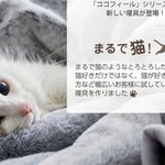 Hit prosto z Japonii. Pościel imitująca kocie futro