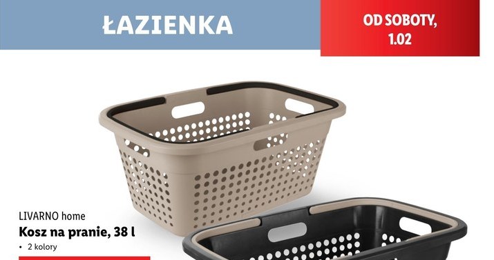 Hit z Instagrama w Lidlu! Viralowy pojemnik na proszek do prania wrócił do Lidla! /Lidl /INTERIA.PL