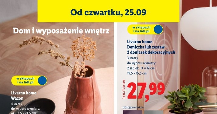 Hity promocji - od wazonów po meble w Lidlu /Lidl /INTERIA.PL