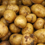 Hodowcy ziemniaków ostrzegają: Zbiory będą mniejsze, a ceny wyższe