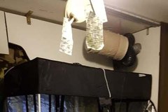 Hodowla konopi w szafie zlikwidowana