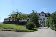 Hohenfels miejscem narodzin Wielkiego Mistrza?