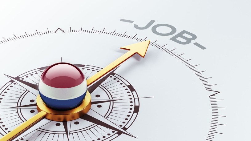 Holandia atrakcyjnym rynkiem pracy dla Polaków? /123RF/PICSEL