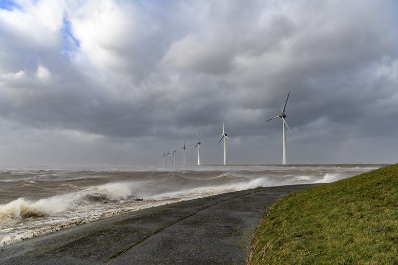 Holandia chce podwoić moc energii wytwarzanej z farm wiatrowych. Kraj zainwestuje 1,7 mld euro w wiatraki na Morzu Północnym /Sjoerd van der Wal / Contributor /Getty Images