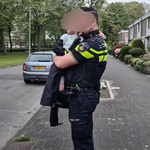 Holandia: Czterolatek zabrał samochód swojej mamy. Staranował dwa auta 