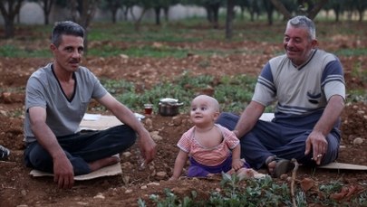 Holandia narzeka na... brak uchodźców