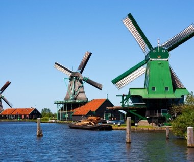 Holandia: Praca w fabrykach i magazynach