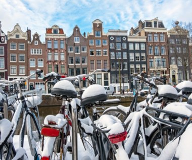 Holandia: Prawie jedna czwarta firm rozważa wyprowadzkę z kraju
