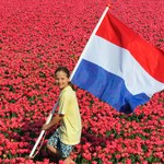 Holandia: Rząd ma pomysł na wzmocnienie tożsamości narodowej