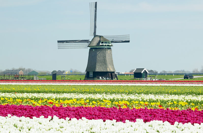 Holandia to piękny kraj /&copy; Panthermedia