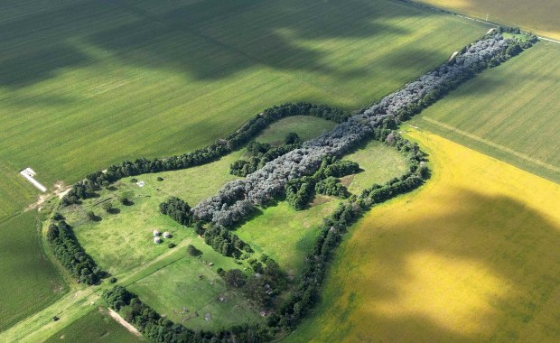 Hołd dla ukochanej żony. Chciał, by widziała go z nieba