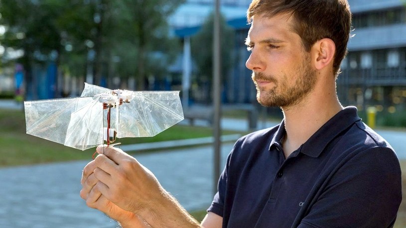 Holenderscy naukowcy opracowali drona latającego jak mucha owocówka /Geekweek