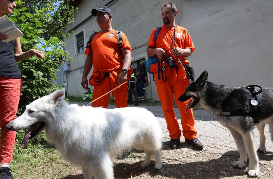 Holenderscy ratownicy z psami tropiącymi włączyli się w poszukiwania autystycznej 12-latki we Włoszech /FILIPPO VENEZIA /PAP/EPA