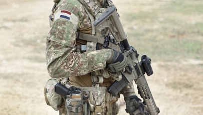 Holenderski rodzynek na Grenlandii. Norwegia i Finlandia "zdetronizowane"