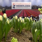 Holendrzy zacierają ręce. Wysłali do Rosji kwiaty za miliony euro