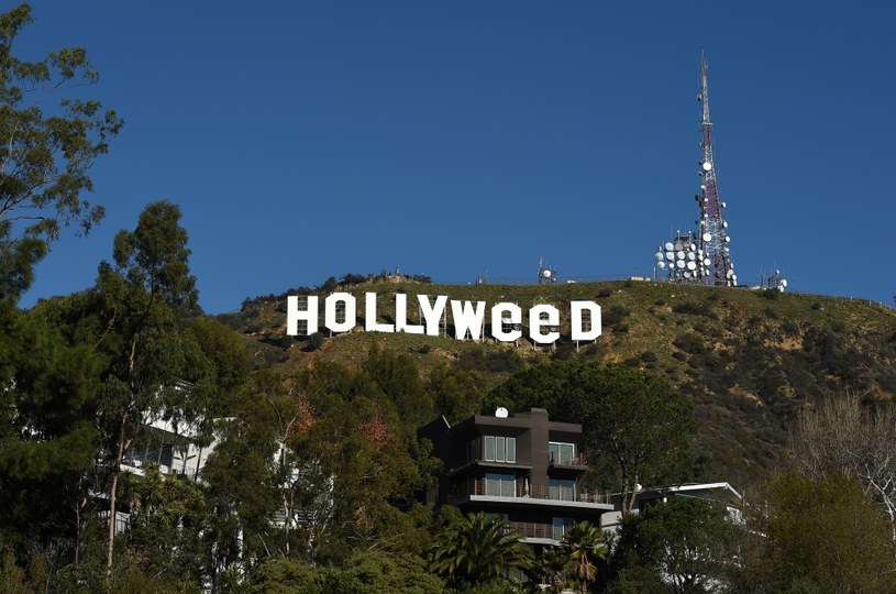 "Hollyweed" /Axelle/Bauer-Griffin/GC Images /Getty Images