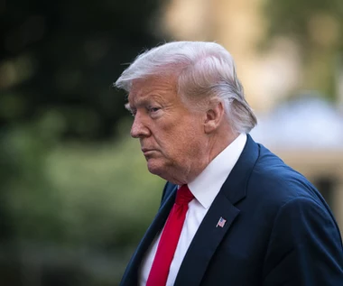"Hollywood zdewastowane"! Nowy pomysł Trumpa to rewolucja 