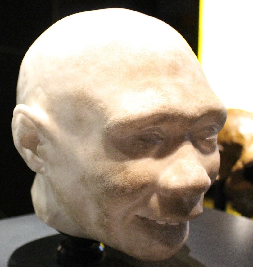 Homo antecessor uważany jest za ostatniego wspólnyego przodka współczesnych ludzi i neandertalczyków /Emőke Dénes /Wikipedia