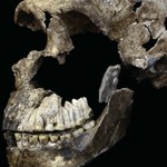 Homo naledi - kolejny krewny, z którym mogliśmy się krzyżować?