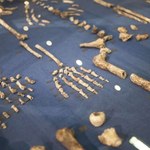 Homo naledi młodszy niż sądziliśmy - liczy tylko 250 000 lat