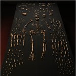 Homo naledi – nieznany przodek człowieka