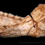 Homo sapiens starszy, niż sądzono. Historię ludzkości trzeba napisać od nowa 