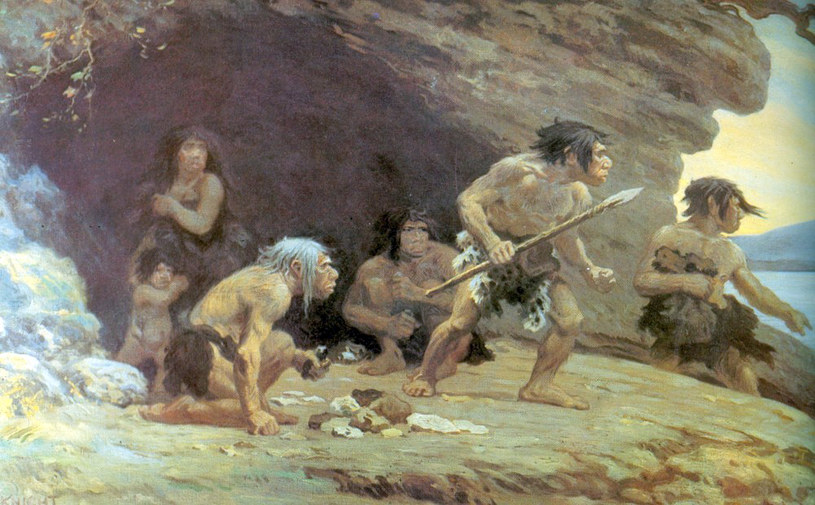 Homo sapiens wdawali się w stosunki seksualne z neandertalczykami o wiele częściej, niż nam się wydaje /Wikimedia Commons /domena publiczna