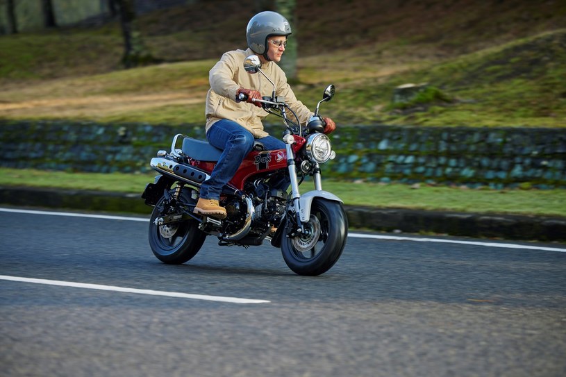 Honda DAX 125 to motocykl którym można jeździć mając prawo jazdy kat. B. /materiały prasowe