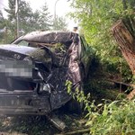 ​Honda rozbita na drzewie, kierowca i pasażerowie byli pijani