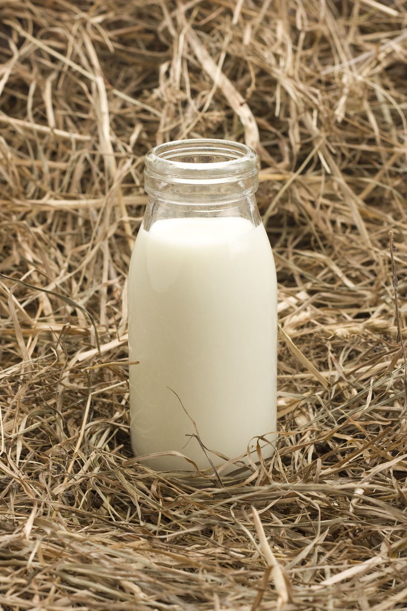 Honorowe mlekodawstwo nie jest sposobem na zarobek /123RF/PICSEL