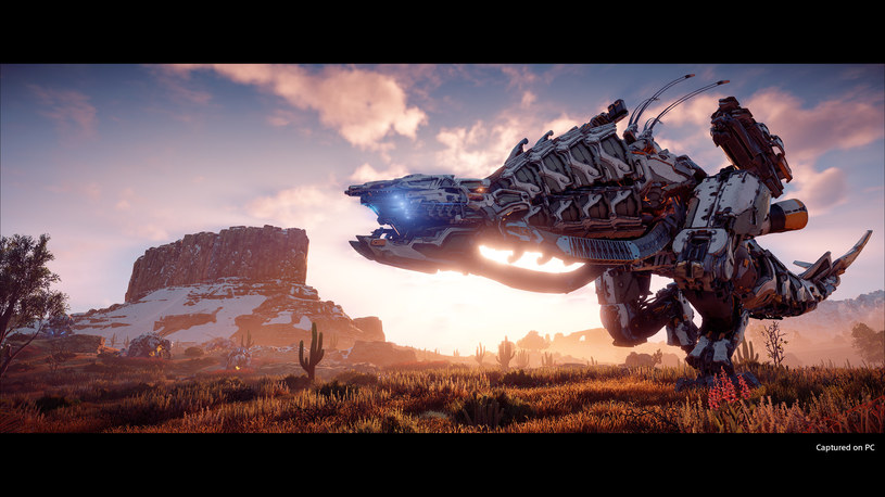 Horizon: Zero Dawn /materiały prasowe