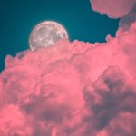 Horoskop dzienny na piątek, 21 czerwca. Sprawdź co szykują dla ciebie gwiazdy