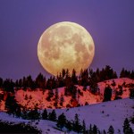 horoskopy Horoskop na sierpień. Jeden znak zodiaku może być szczególnie zaskoczony