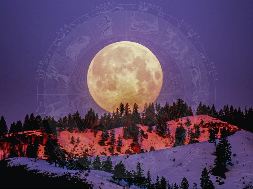 Horoskop tygodniowy 20-26 sierpnia 2022 /@frank-cone-140140 /pexels.com