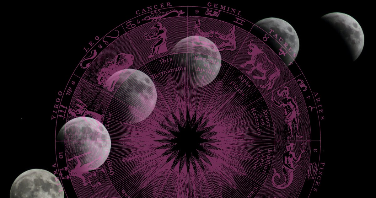 Horoskop tygodniowy 6-12 sierpnia /@samerdaboul /pexels.com