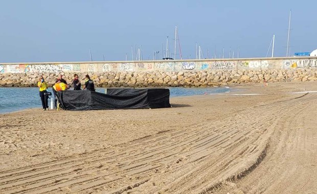 Horror na plaży w Hiszpanii. Znaleziono zwłoki dziecka bez głowy