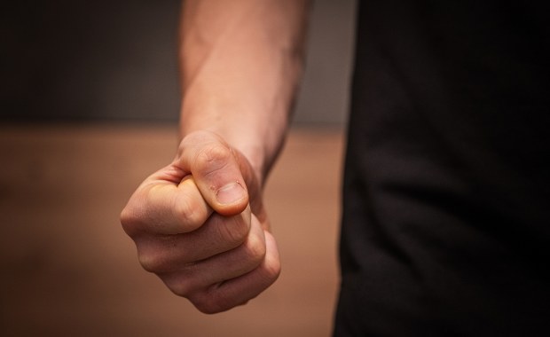 Horror w domu pod Bolesławcem. 21-latek nie oszczędził nawet psa