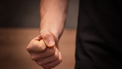 Horror w domu pod Bolesławcem. 21-latek nie oszczędził nawet psa