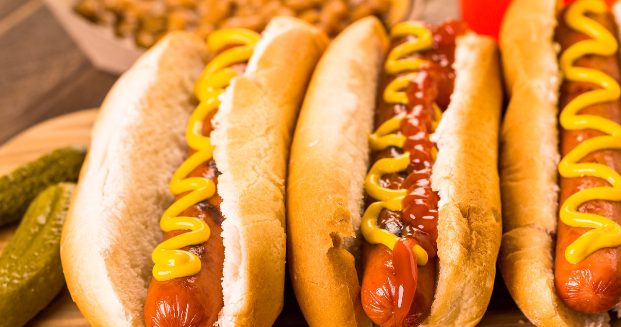 hot dog /© Photogenica