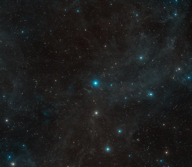 HR8799 w gwiazdozbiorze Pegaza /ESO/Digitized Sky Survey 2 /Materiały prasowe