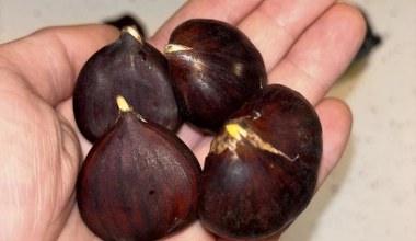 Хрумтіть замість солодощів, додавайте до салатів. Вони діють як захисний щит для мозку та печінки