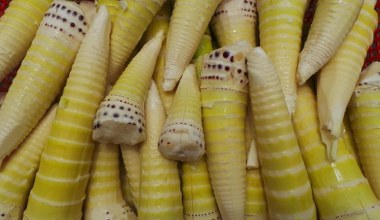 Хрусткі і з незвичайним смаком. Корисні для серця, кишківника та допомагають схуднути