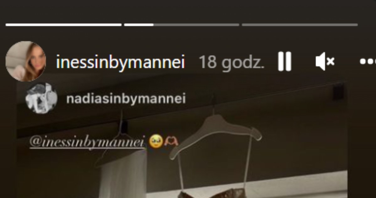 https://www.instagram.com/inessinbymannei/?hl=pl /Instagram