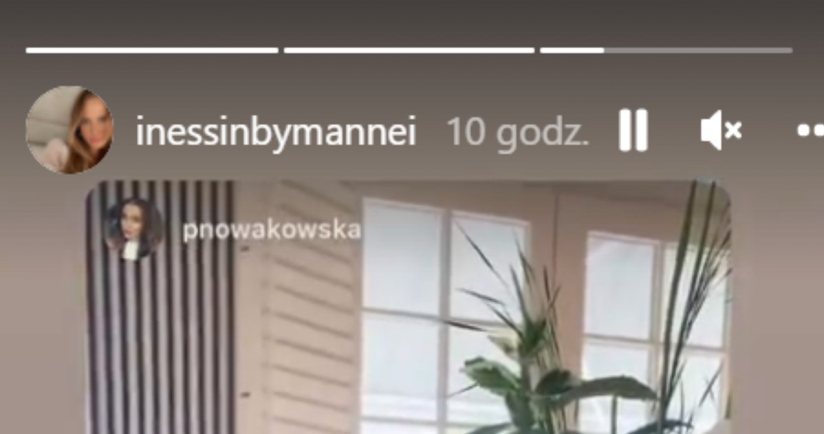 https://www.instagram.com/inessinbymannei/?hl=pl /Instagram