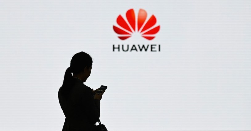 Huawei chce "przetrwać" w 2020 roku /AFP